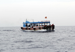 Travel