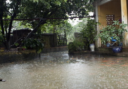 SummerRain