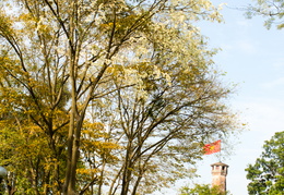 hanoi-corner